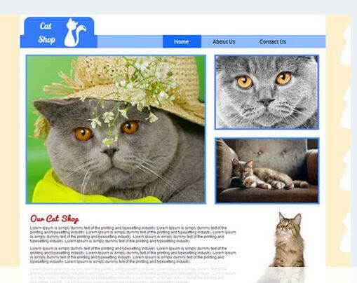 Kendi siteni kısa zamanda tasarlamayı öğren.