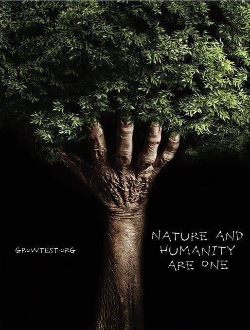 KIanjataSpring1's tweet photo. RT This easter #BecauseWeCare we camp &amp; plant a tree #TreesForLife @njambie @Mrs_MFriday @WamzyWamboi http://t.co/2ObvjASCql