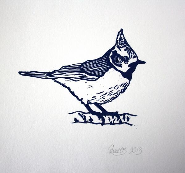 RachaelWillis_'s tweet image. Hand Printed Original Linocut. A Perfect Gift For All Nature Lovers by The Lino Print Shop etsy.me/YQ5wnn