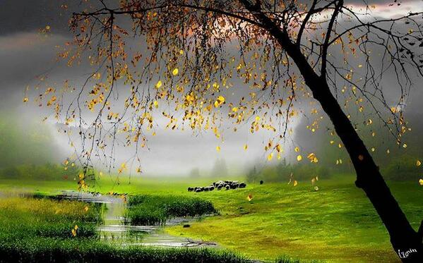 Gabriele_Corno's tweet photo. Mystic Spring by Igor Zenin http://t.co/RgUcAIig6X