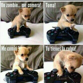 ElSikiko's tweet photo. Que triste . Jajajajajaja http://t.co/FVsup4IXFF