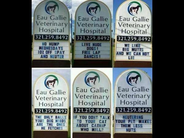 Sweetsb17's tweet image. A Veterinary clinic with a great sense of humour.... #veterinaryhumour  #doghumour #signs #funnysigns #