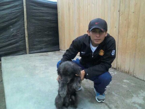 PaimaRueda's tweet image. Mailon