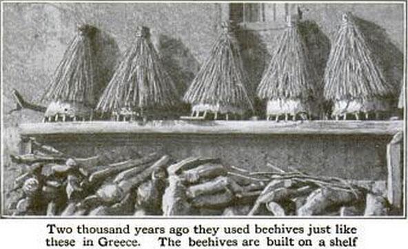 CyG_bees's tweet photo. #ancient bee hives http://t.co/TxMW3ZpygC … page 326 http://t.co/hYffCzhP74