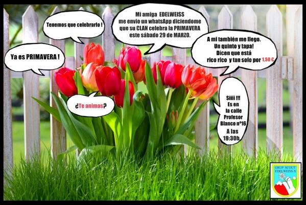 nautilus_clan's tweet photo. ¿Quién se anima? http://t.co/jP0oWCqzO0