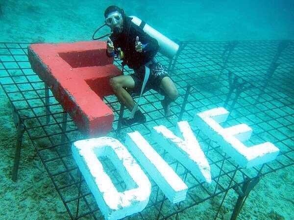 taufik_its's tweet photo. Team #FNDive sedang melakukan persiapan pemasangan Media Konsevasi Karang #FN11 @fotografernet @kristupa @NKardaya http://t.co/9aiqs4CkML