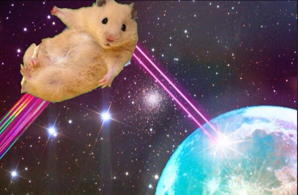 hamster space