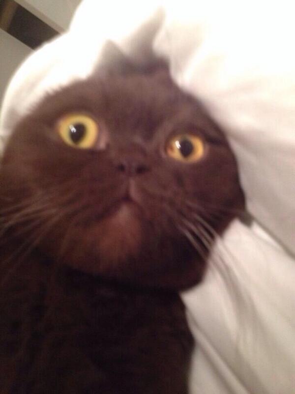 ChocoBeo's tweet image. Moi quand j'allume la caméra frontal sans faire exprès o__O