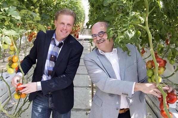 Unieke samenwerking met Westland Marketing tijdens WK ow.ly/v9ZOX #hockey #celebratehockey