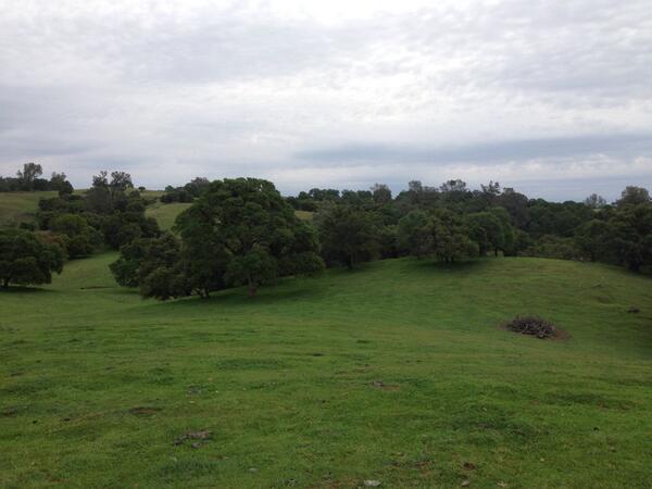 KCOPodcast's tweet photo. Been an exciting hunt so far. Lots of birds around but no #turkeys in the bag yet. http://t.co/ZQw0dNSMdR