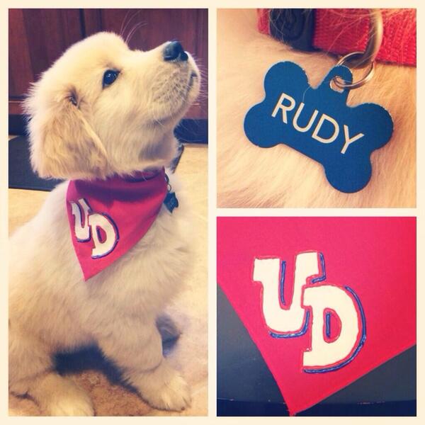 awebendorfer's tweet photo. Rudy Flyer Webendorfer is ready to cheer on his favorite team - Go Flyers! #DaytonProud http://t.co/qSGaiaSgtJ