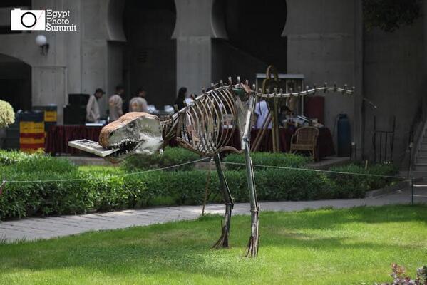 Egypt Photo Summit tweet media