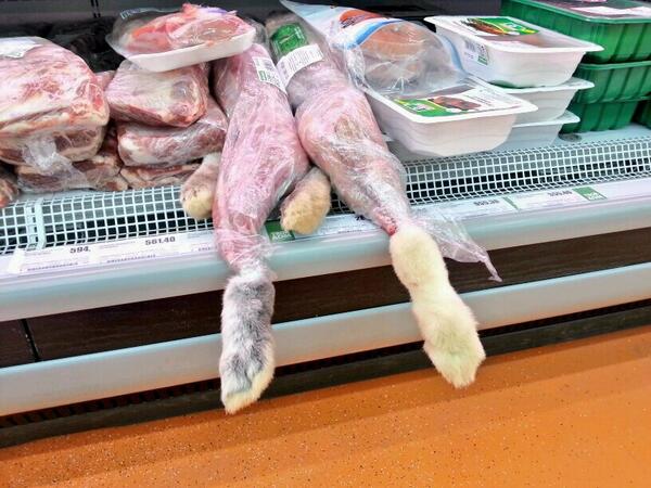 energener's tweet image. Кролики в магазине