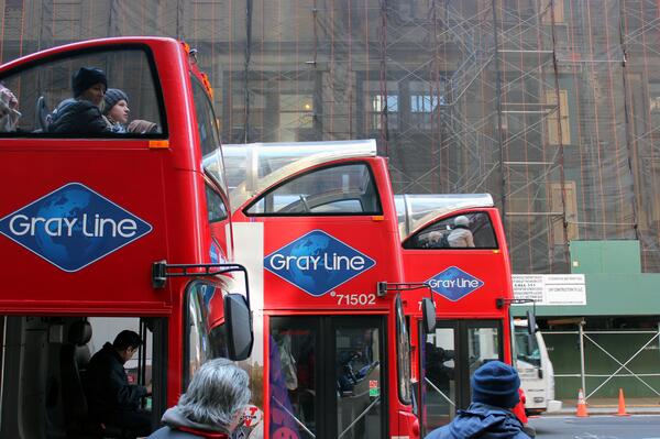 GrayLineNewYork's tweet image. Ready. Set. GO!