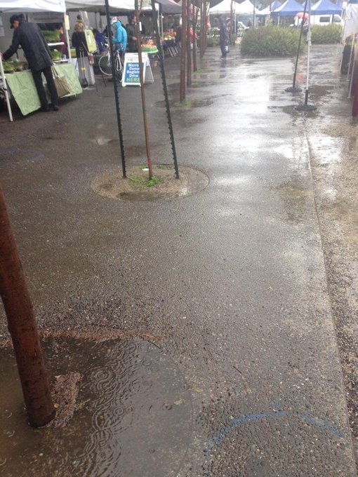 So wet! (@ Grand Lake Farmers Market w/ 4 others) http://t.co/uuBEAa1hkA http://t.co/4169O6kVXw<a href="/tag/whatveganseat"class="tags"><span>#whatveganseat</span></a>