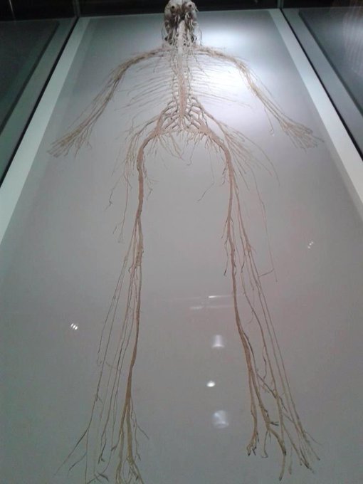 الصورة