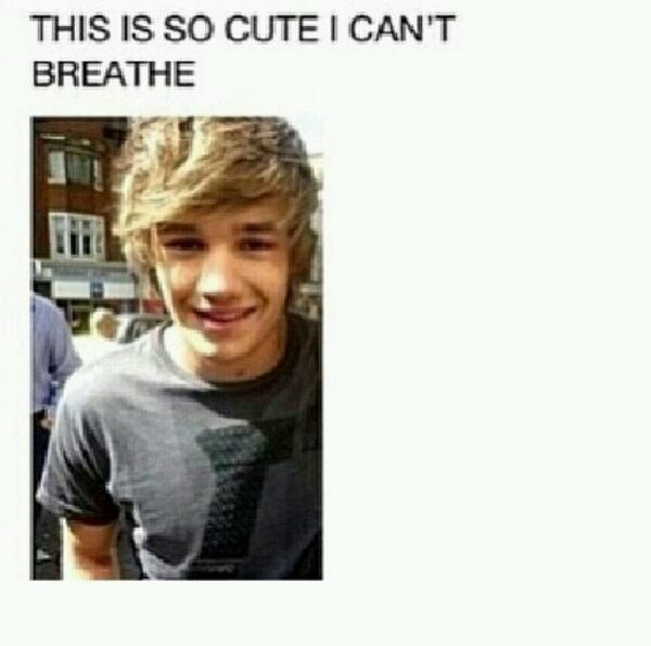 ImNiallsMichael's tweet image. THIS IS SO CUTE!!!

#Vote1DUK #KCA