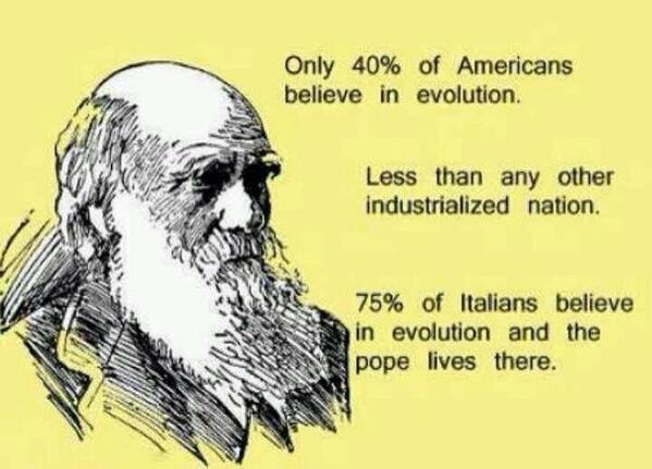 ChiveAlive's tweet image. 