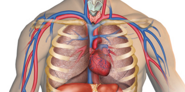 ThoughtCatalog's tweet image. 26 People Reveal The One Disgusting Thing About The Human Body tcat.tc/1f5KTxx