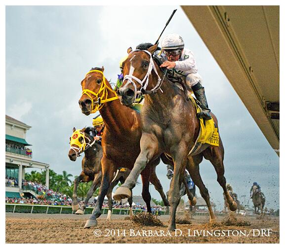  2014 FLORIDA DERBY Bj7olr0CAAImiqG