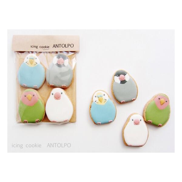 טוויטר Antolpo Icing Cookie בטוויטר インコ文鳥アイシングクッキー Http T Co Fnr1emnn33