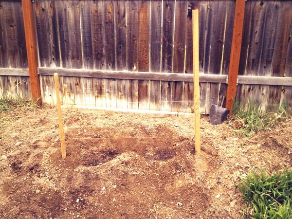 kbjsocial's tweet photo. Day one of planting my raspberries, my stomach is already growling :) http://t.co/cK5jxbucPM