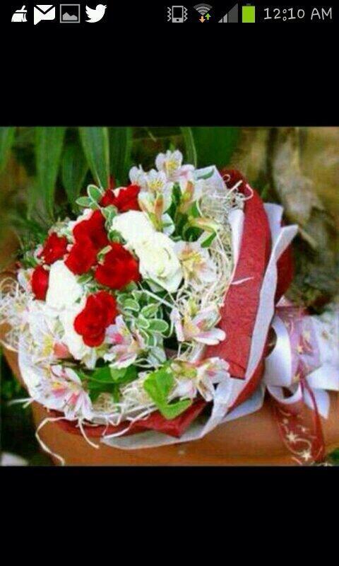 XZXXXXXZX's tweet photo. صباح الخير للجميع http://t.co/M7JXXsbTSE