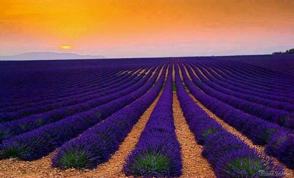 amrkhaled's tweet photo. اللهم بك أصبحنا وبك أمسينا وبك نحيا وبك نموت وإليك النشور #أذكار_الصباح http://t.co/cgOHL5CPLK