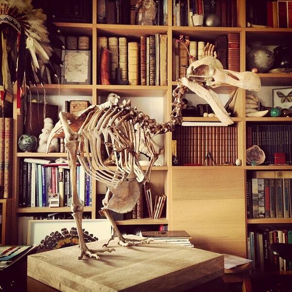 BarnesCurios's tweet photo. Latest addition to our #CabinetOfCuriosities #dodo #mauritius #bones #paris http://t.co/GoRsdcFy6e #curiositi... http://t.co/QH3PujKDvQ