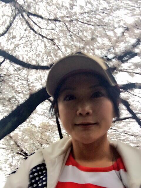 稽古行き途中に桜スポット見つけた☆*:.｡. o(≧▽≦)o .｡.:*☆  日高ゆりあ専用チケット予約フォーム http://t.co/aWrj1BqFJt http://t.co/qXcTkuqS