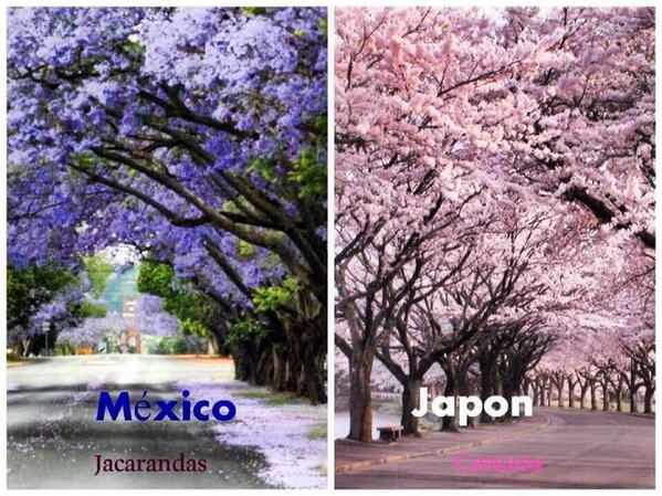 SagiOrli's tweet image. #springsing2014 around the world much pleasant than the #arabspring something they should learn