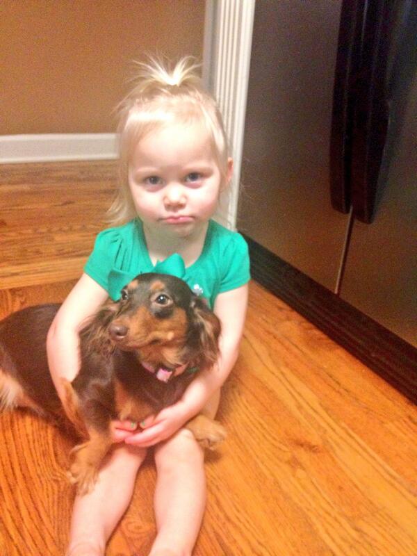 patsycake67's tweet image. How cute are these St. Patty's Day girls 💚💚