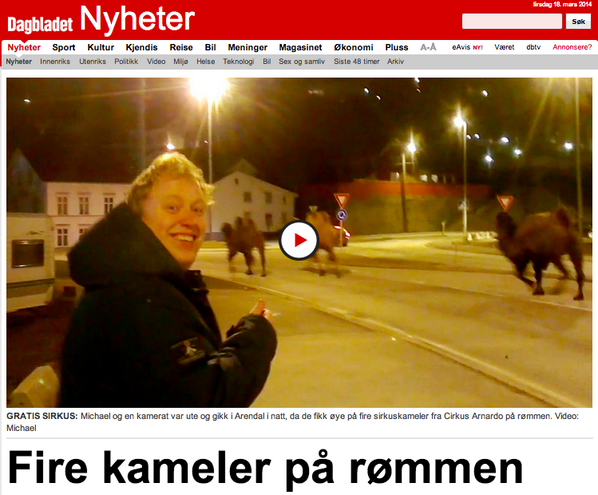 Livredde kameler rømte fra Bent Høies innhengning før han rakk å svelge dem.