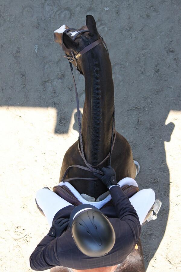 Butenko_Stable's tweet image. Клубные карты "Конюшни Бутенко" на любой вкус! Выбирайте наиболее удобный для Вас вариант. тел:067-219-48-70