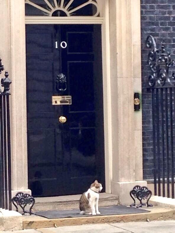 The Metropolitan Police deny that the new Downing Street security arrangements are a sign of cost-cutting:
