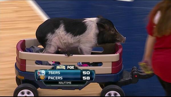 NBA Enfurecida tweet media
