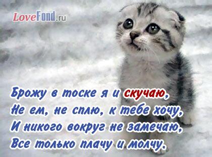 Nazokat Xon tweet media