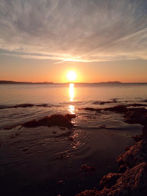 Mamboibiza tweet picture