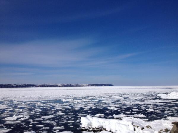 Jon Ladha tweet media