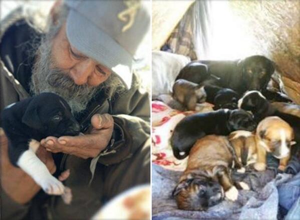 Schnauzicom's tweet image. Un hombre sin hogar pide ayuda para buscar una casa para los cachorros que se encontró: schnauzi.com/hombre-sin-hog…