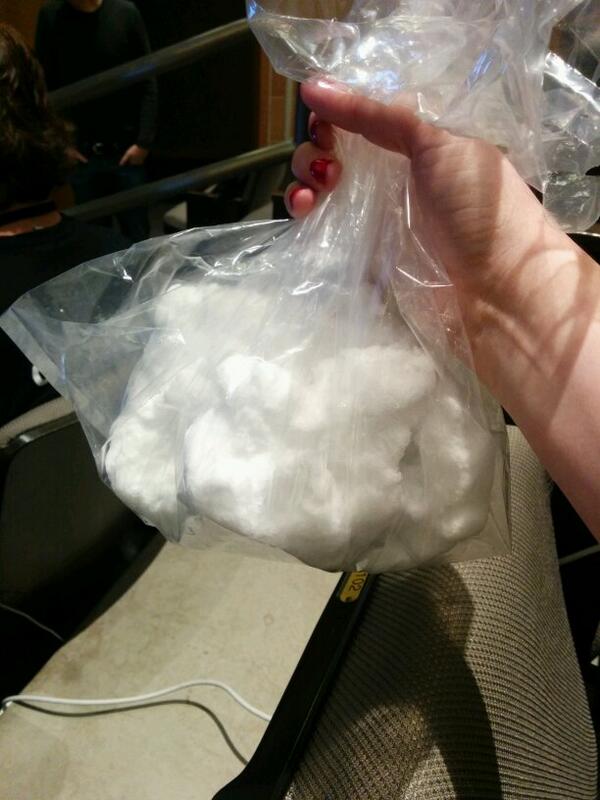 nodebotanist's tweet image. Y&apos;all, @ryanflorence BROUGHT THE SNOW TO ME. He heard I&apos;ve never seen it! #mtnwestjs