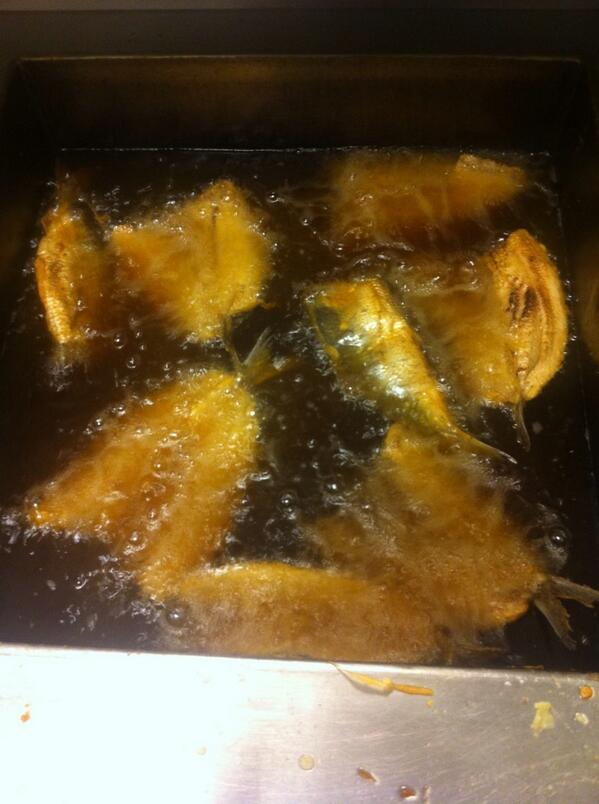 Nieuw bij ons, PANHARING !!