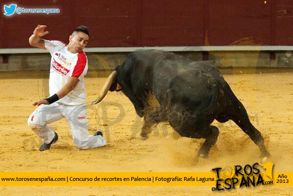 torosenespana's tweet photo. Palencia 2013. RTP @torosenespana http://t.co/Fk5wG1ve99 http://t.co/KUAlsGrKHn