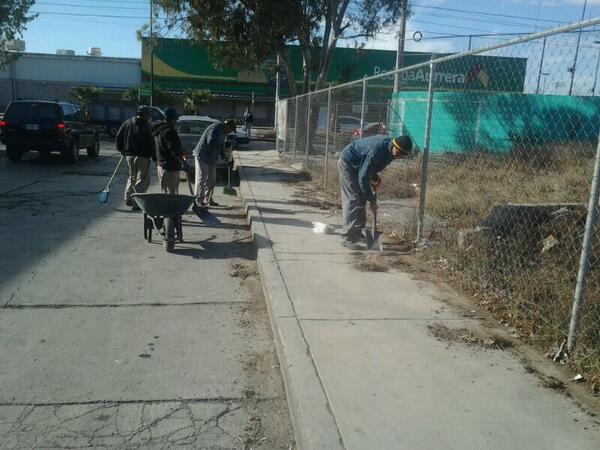 Brigada de Limpieza y deshierbe en Calle Dacmosel en Piracantos #Cuidandonuestroentorno @Pachuca_