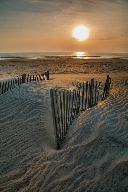 sharepackageorg's tweet image. Take me away!!!!