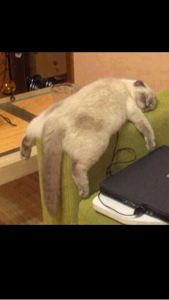 Max Stewart tweet media