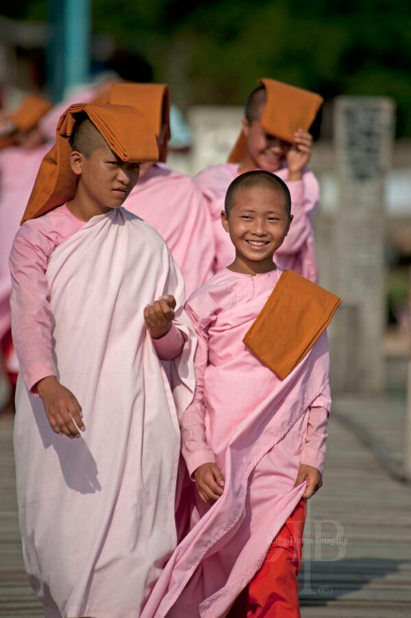 The Crowded Planet tweet media