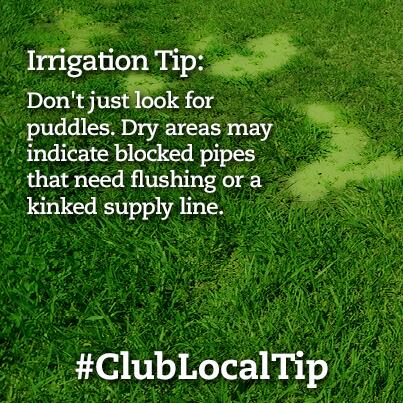 ClubLocalDallas's tweet image. How's your lawn looking? Don't miss the dry areas! They can indicate a problem, too! #ClubLocalTip