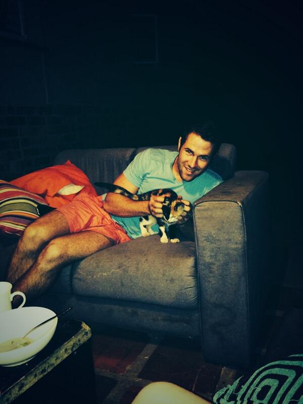 aimzstreit's tweet photo. Our little addition to digs. #kitten #twister #adorable #love @Alex_Taylor_Mew http://t.co/vyetC1Jp0M