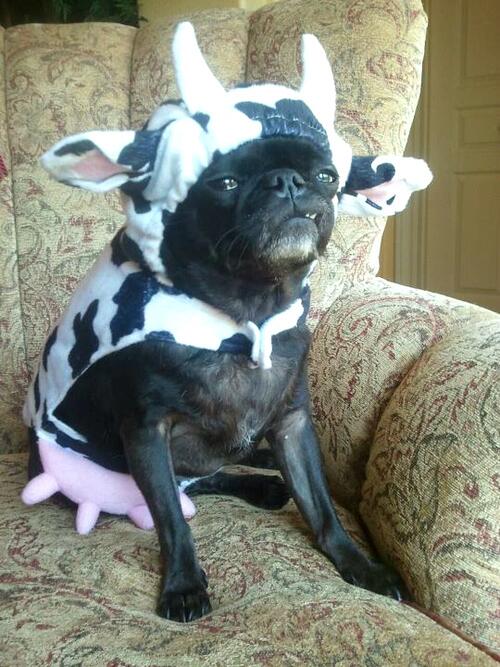 Pretinho_Basico's tweet photo. oi caras #ouvindooPB http://t.co/NDpFvelINK